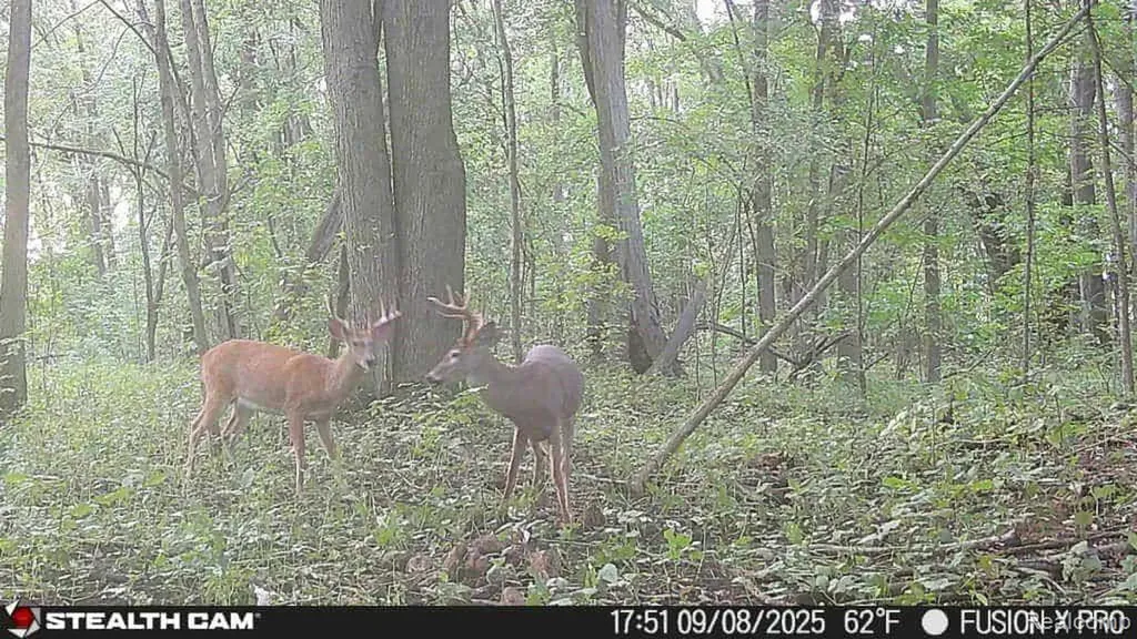 10374 Wilson Road Otisville Village MI 48463
