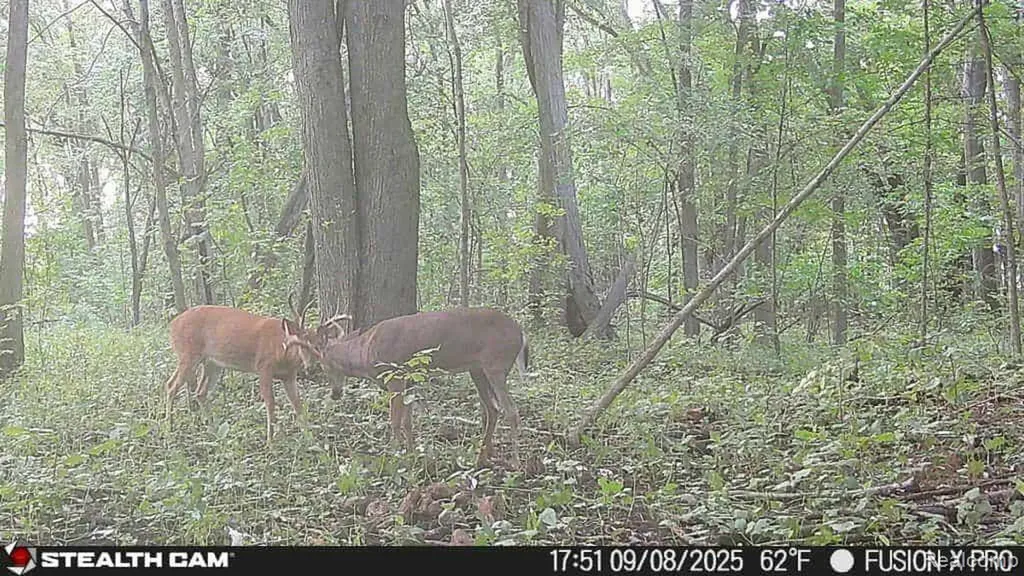 10374 Wilson Road Otisville Village MI 48463