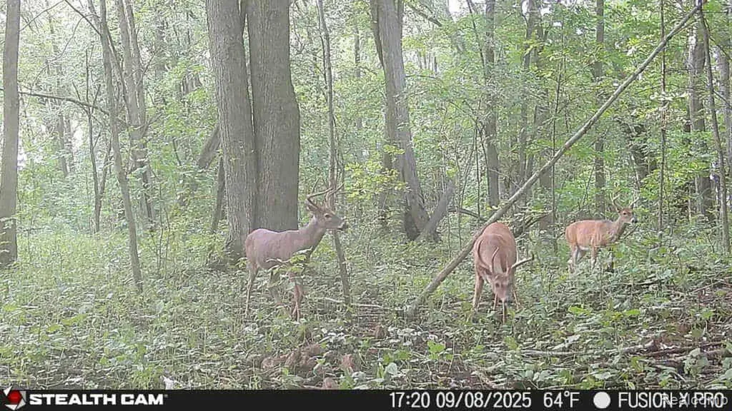 10374 Wilson Road Otisville Village MI 48463