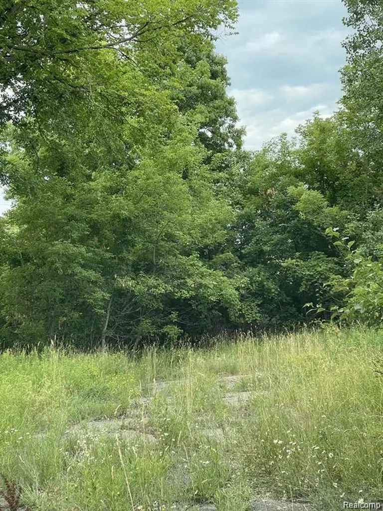 1646 N Milford Road Milford Charter Township MI 48381