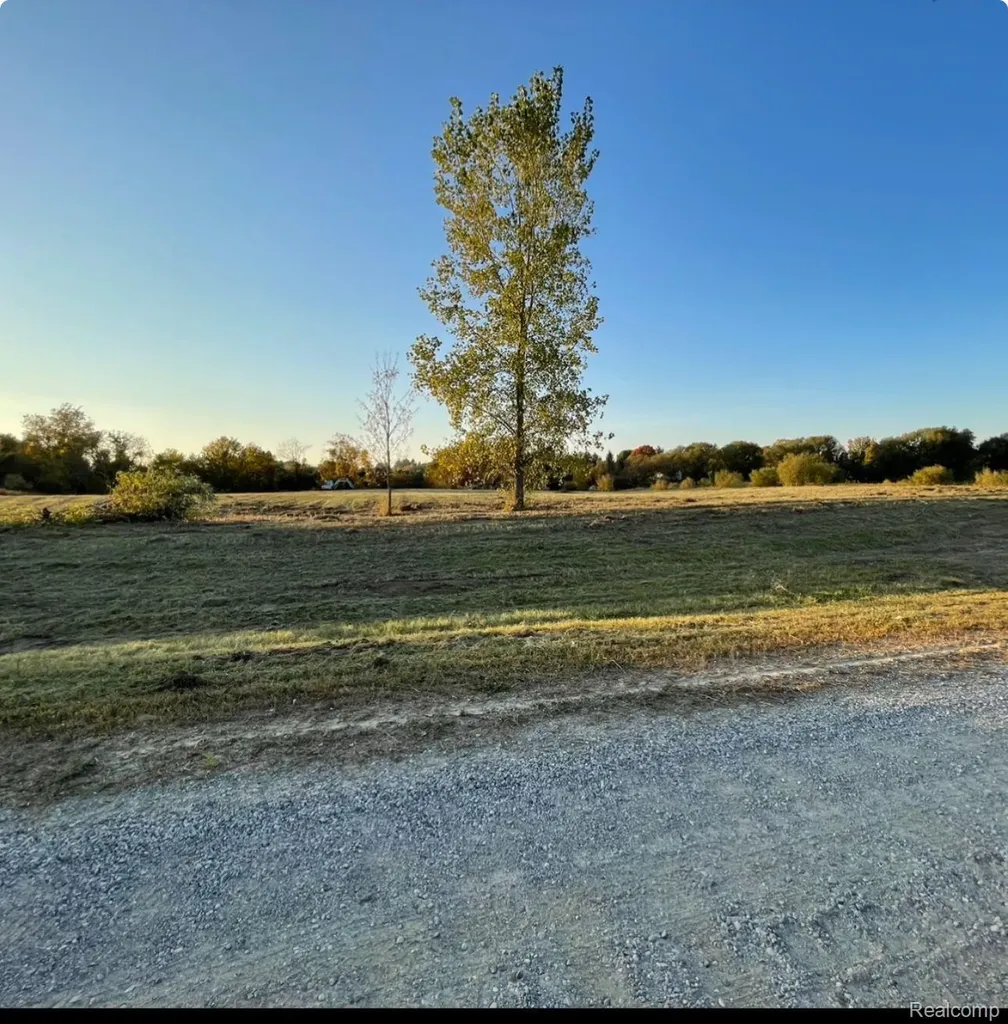 Parcel 3 S Creek Lane Dryden Township MI 48428