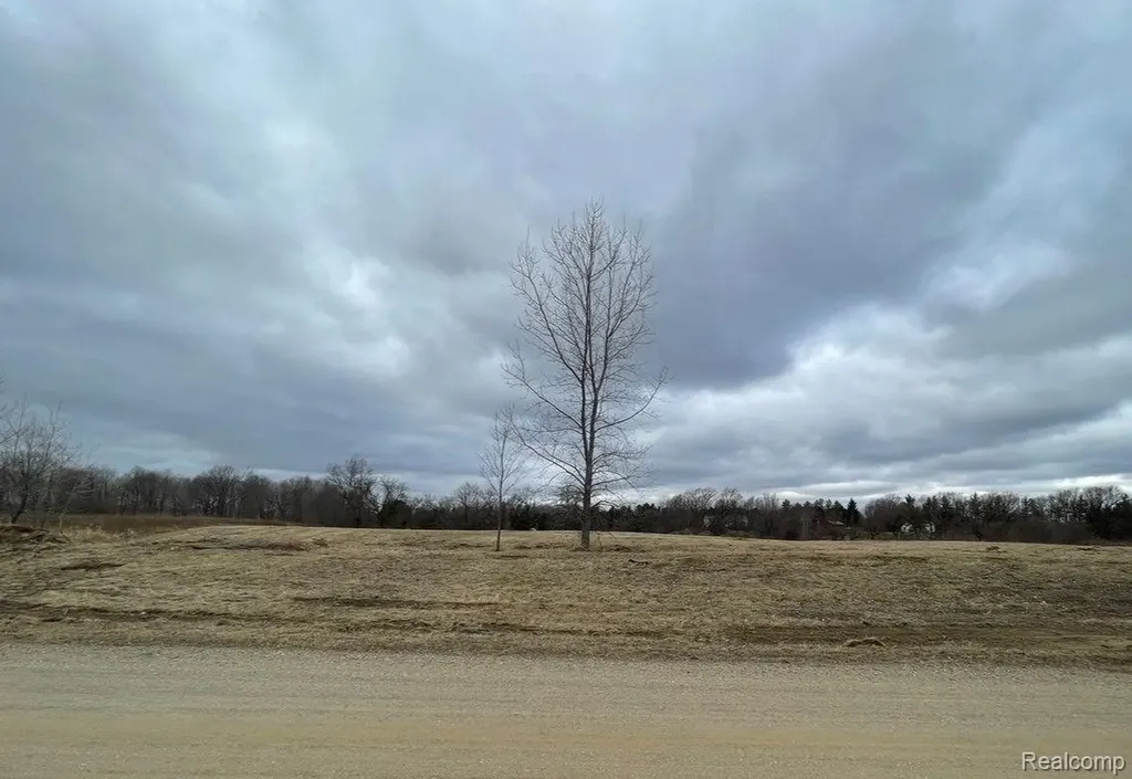Parcel 3 S Creek Lane Dryden Township MI 48428