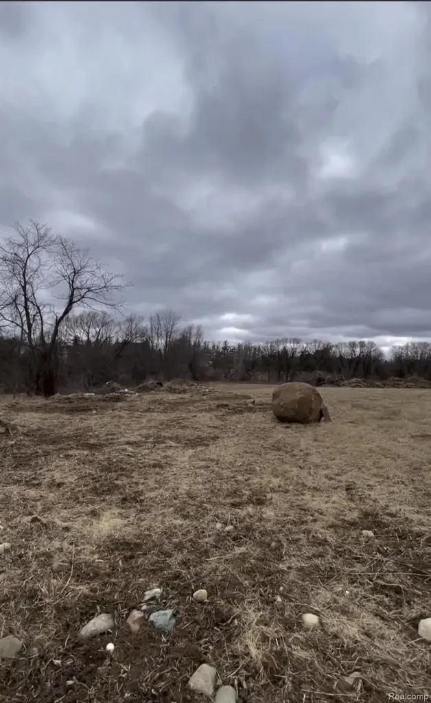 Parcel 3 S Creek Lane Dryden Township MI 48428
