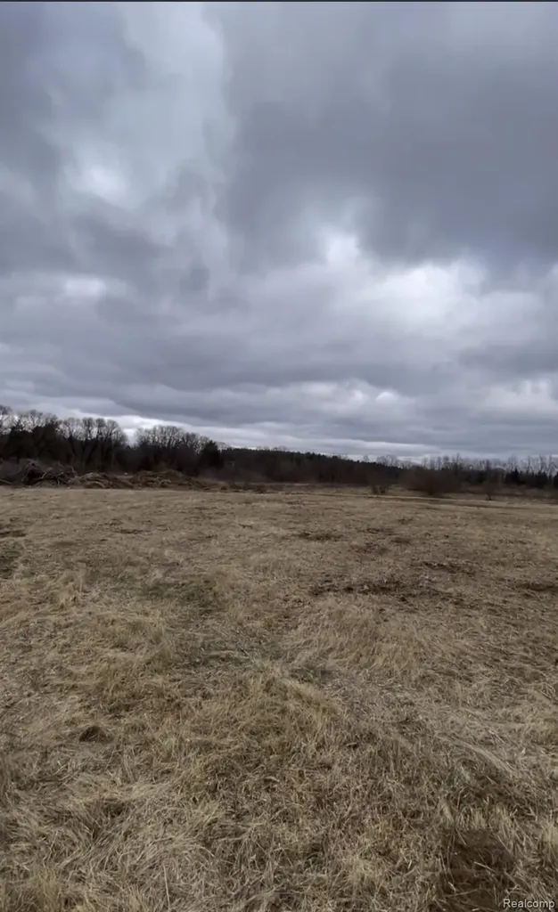 Parcel 3 S Creek Lane Dryden Township MI 48428