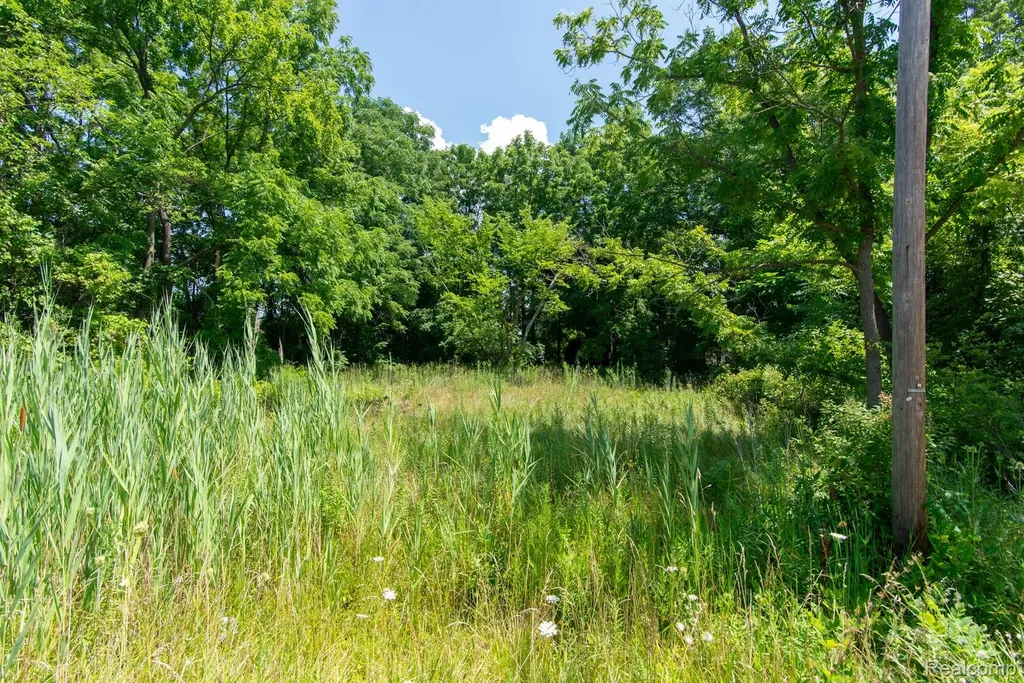 Lot 105 Hollywood Romulus City MI 48174