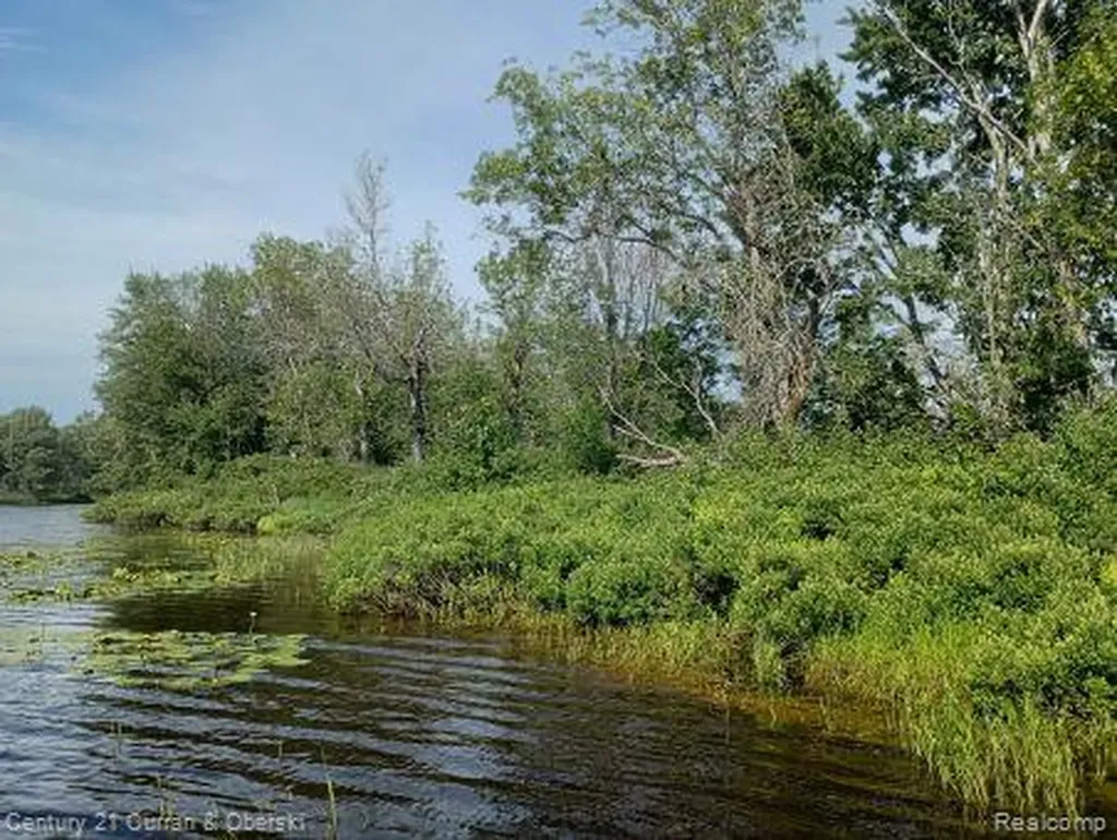 0000 Tahquamenon River (shore) Mcmillan Township MI 49868
