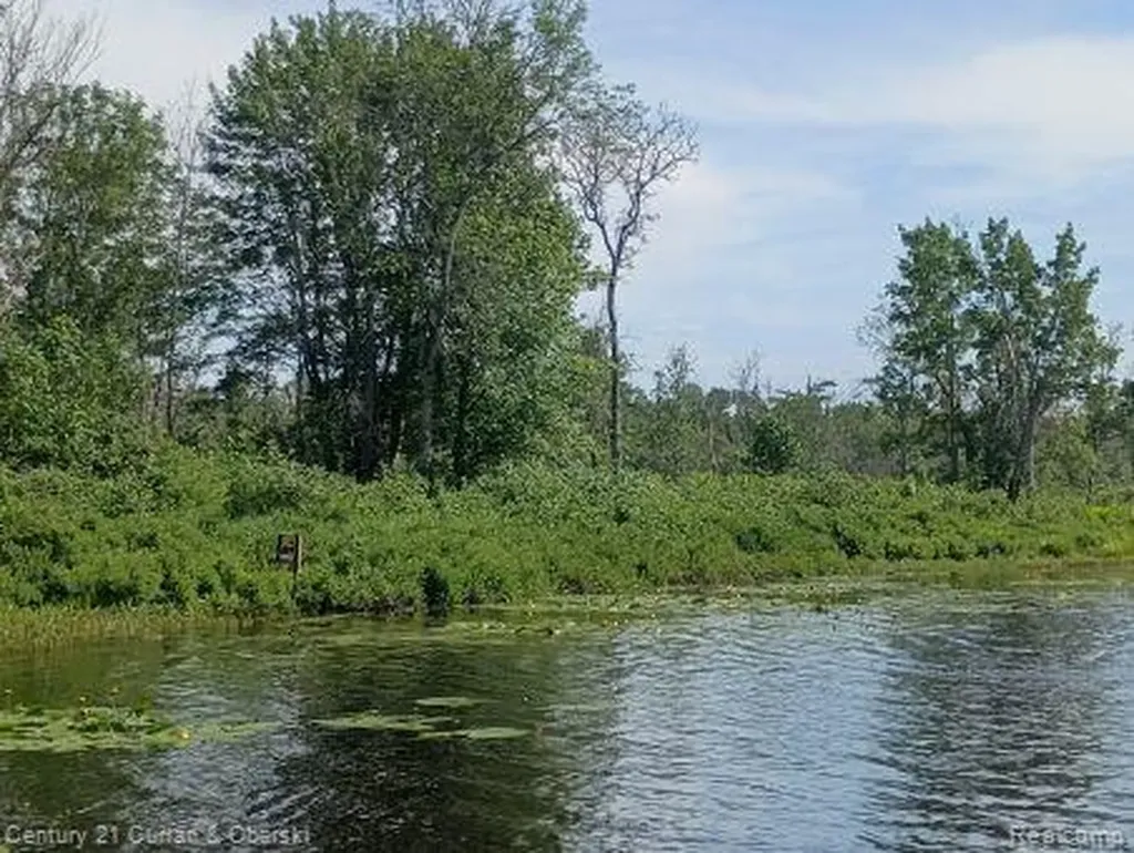 0000 Tahquamenon River (shore) Mcmillan Township MI 49868