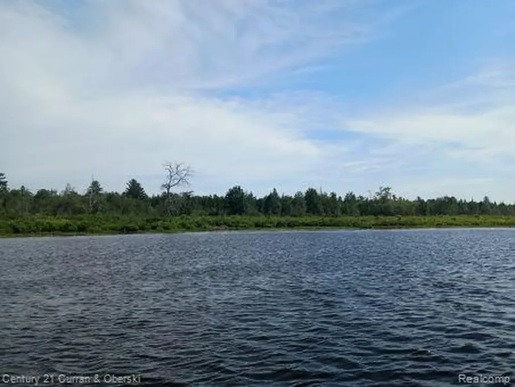 0000 Tahquamenon River (shore) Mcmillan Township MI 49868