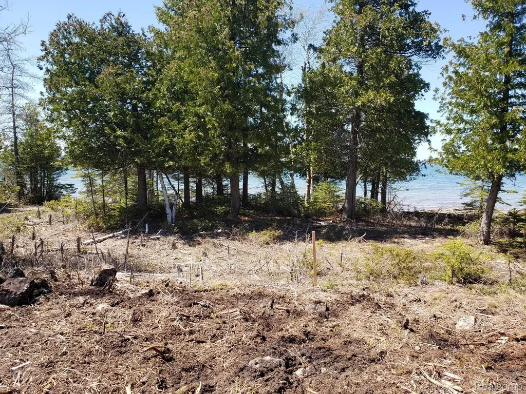 33882 S Dix Point Road Drummond Township MI 49726