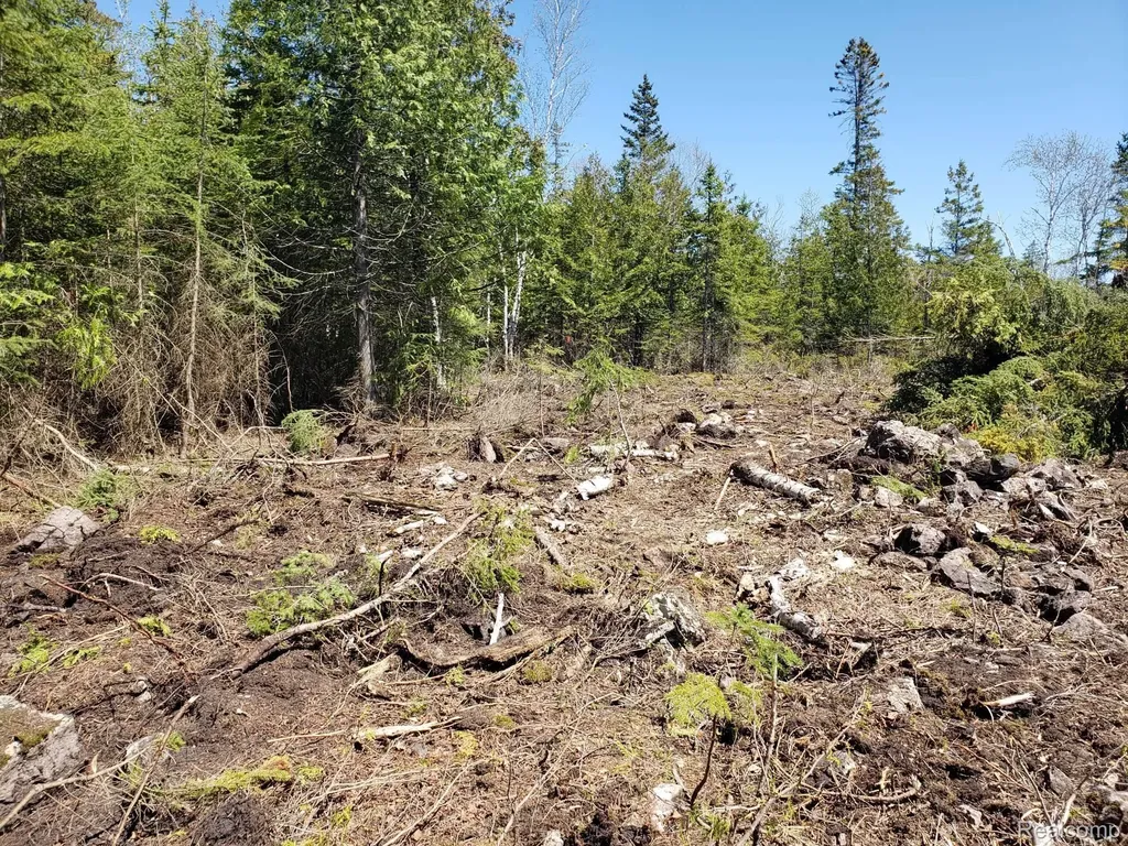 33882 S Dix Point Road Drummond Township MI 49726