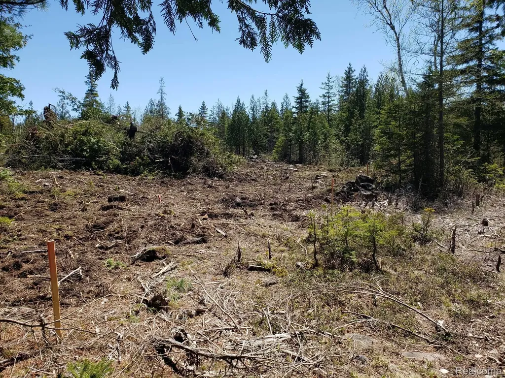 33882 S Dix Point Road Drummond Township MI 49726