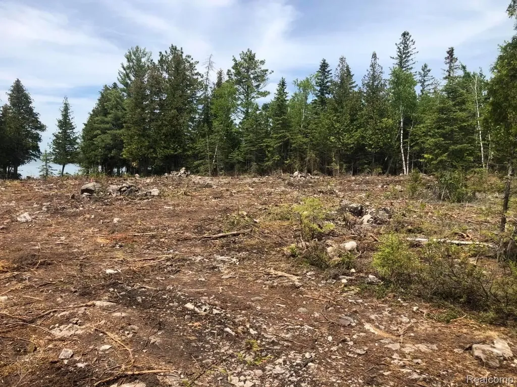 33882 S Dix Point Road Drummond Township MI 49726