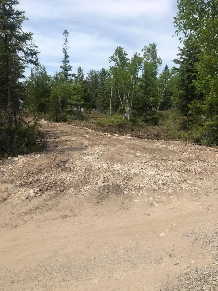 33882 S Dix Point Road Drummond Township MI 49726