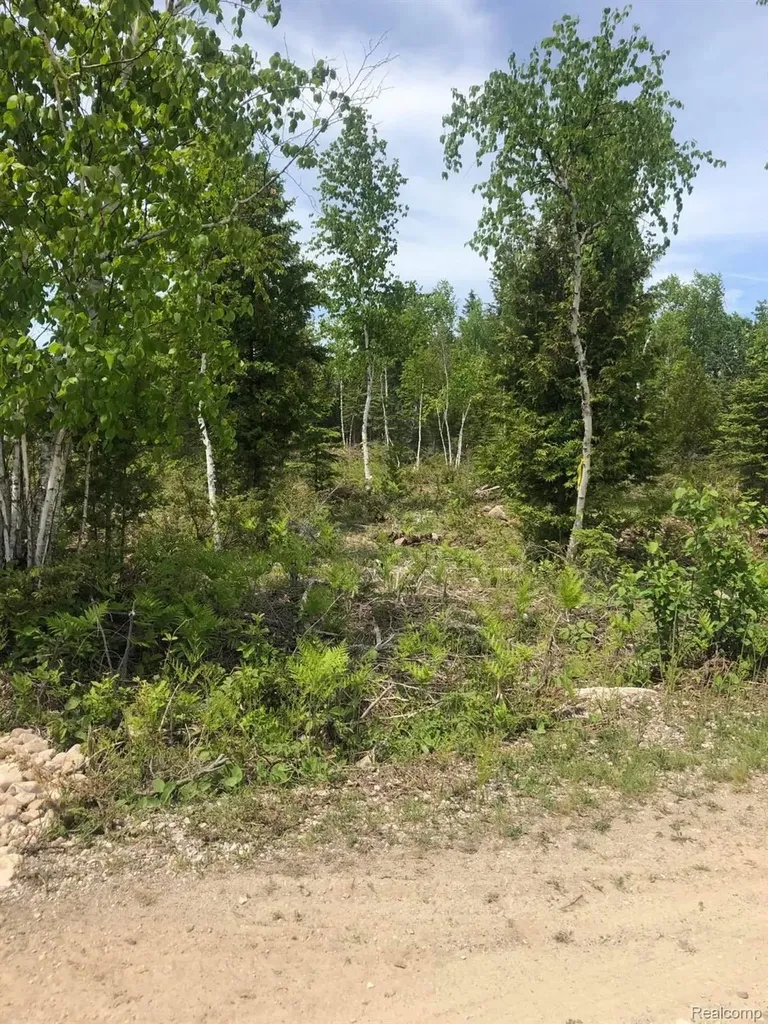 33882 S Dix Point Road Drummond Township MI 49726