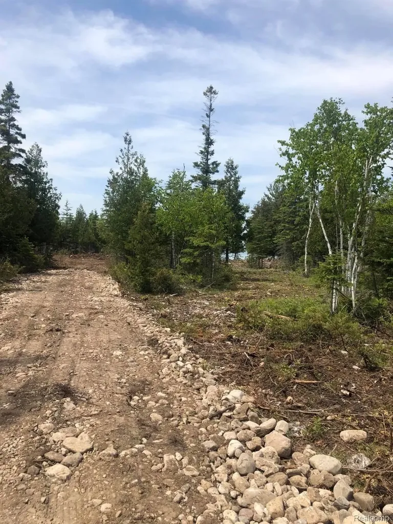 33882 S Dix Point Road Drummond Township MI 49726