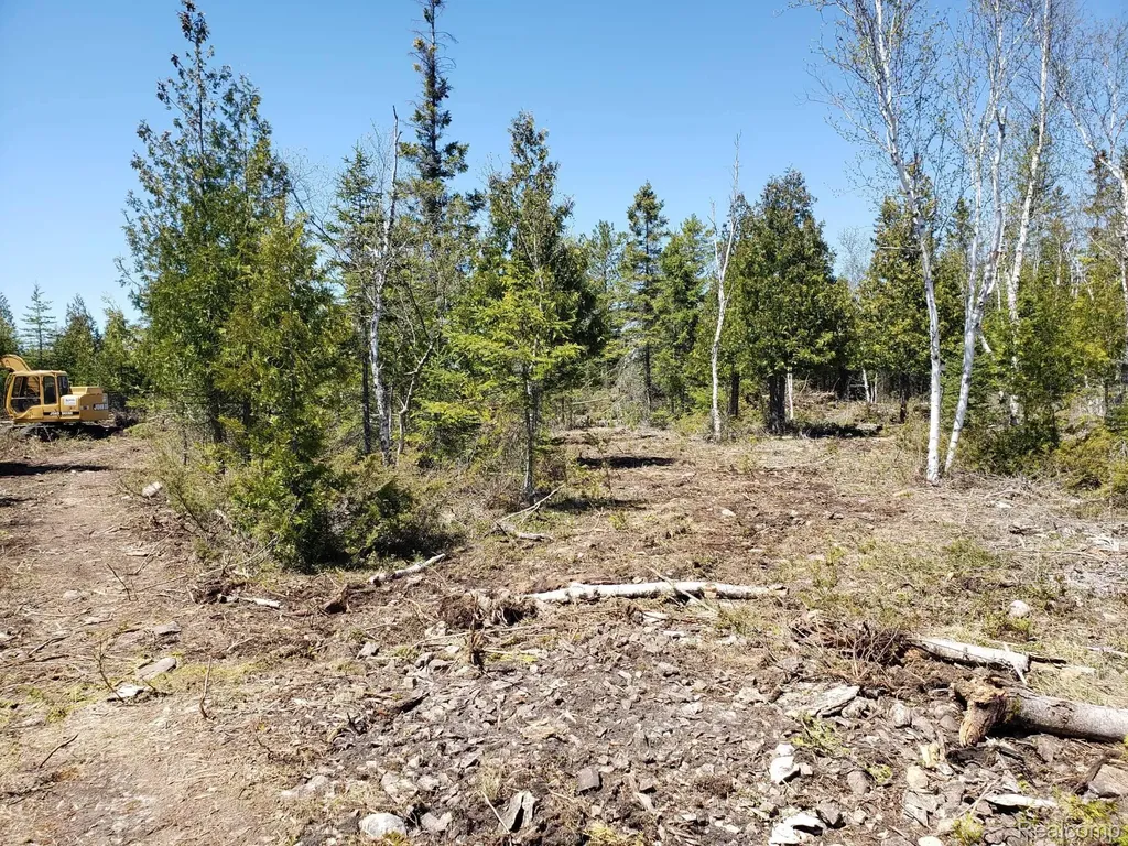 33882 S Dix Point Road Drummond Township MI 49726