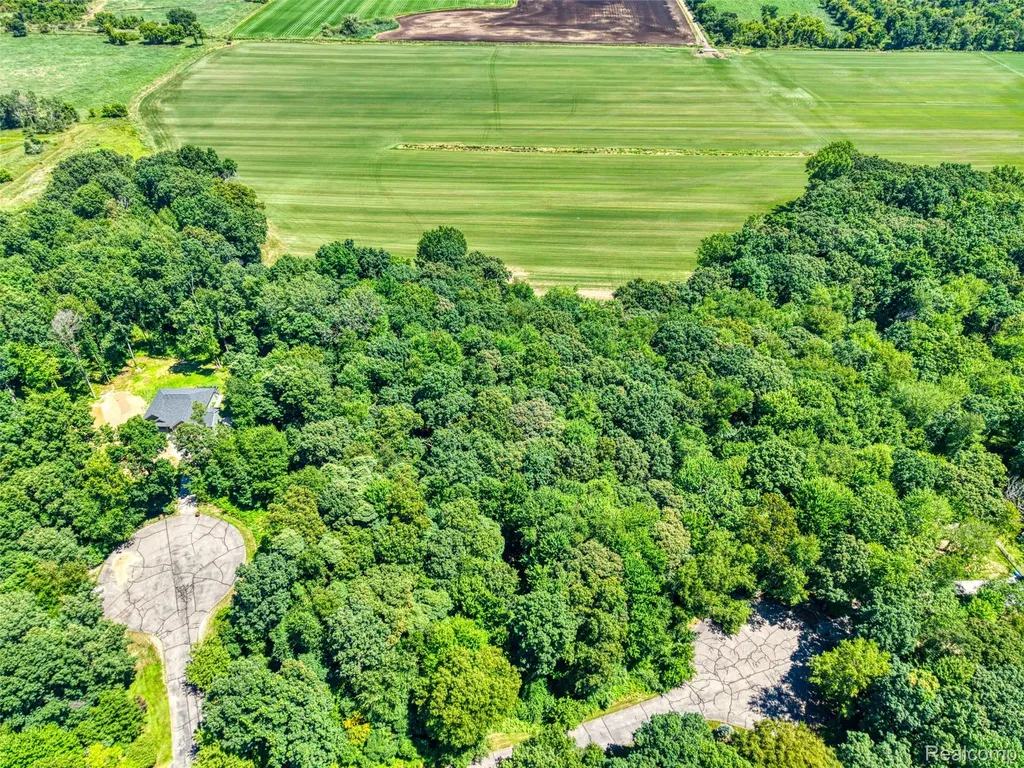 5663 Iosco Mountain Road Iosco Township MI 48137