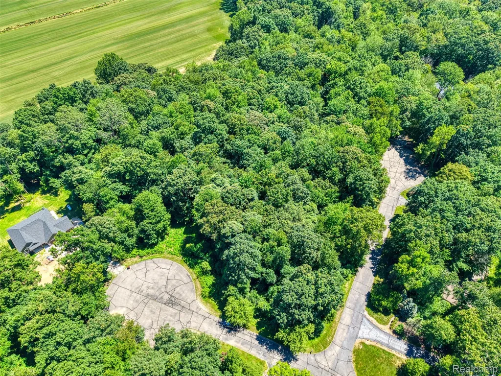 5663 Iosco Mountain Road Iosco Township MI 48137