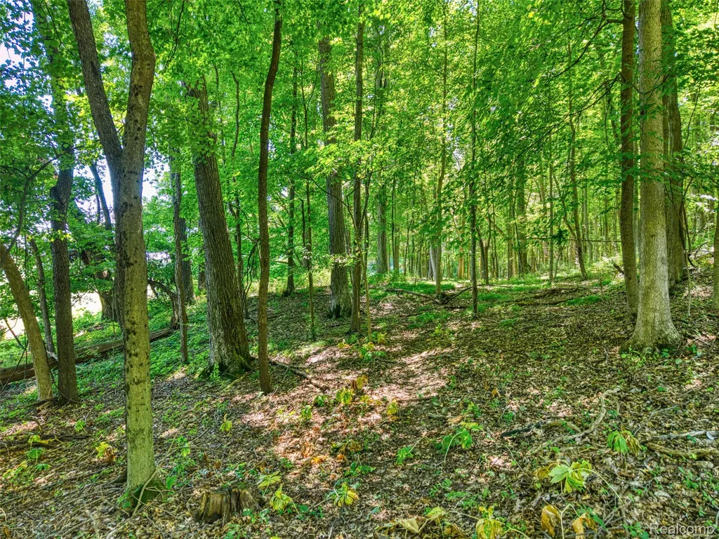 5663 Iosco Mountain Road Iosco Township MI 48137