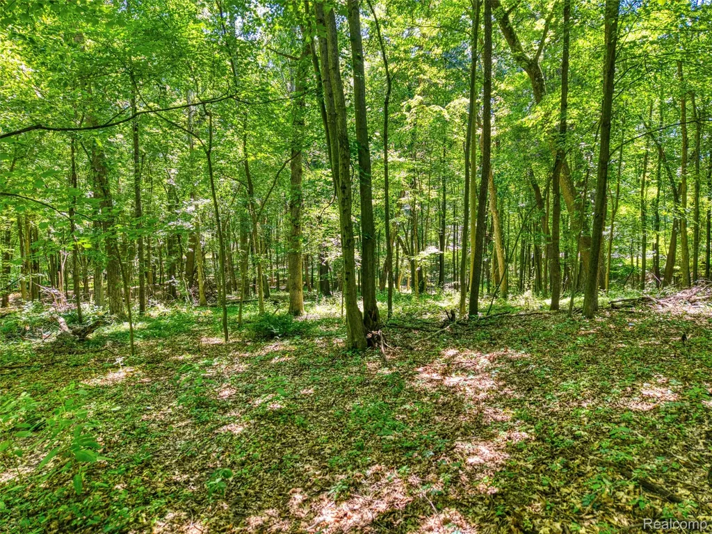 5663 Iosco Mountain Road Iosco Township MI 48137
