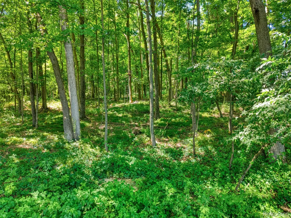 5663 Iosco Mountain Road Iosco Township MI 48137