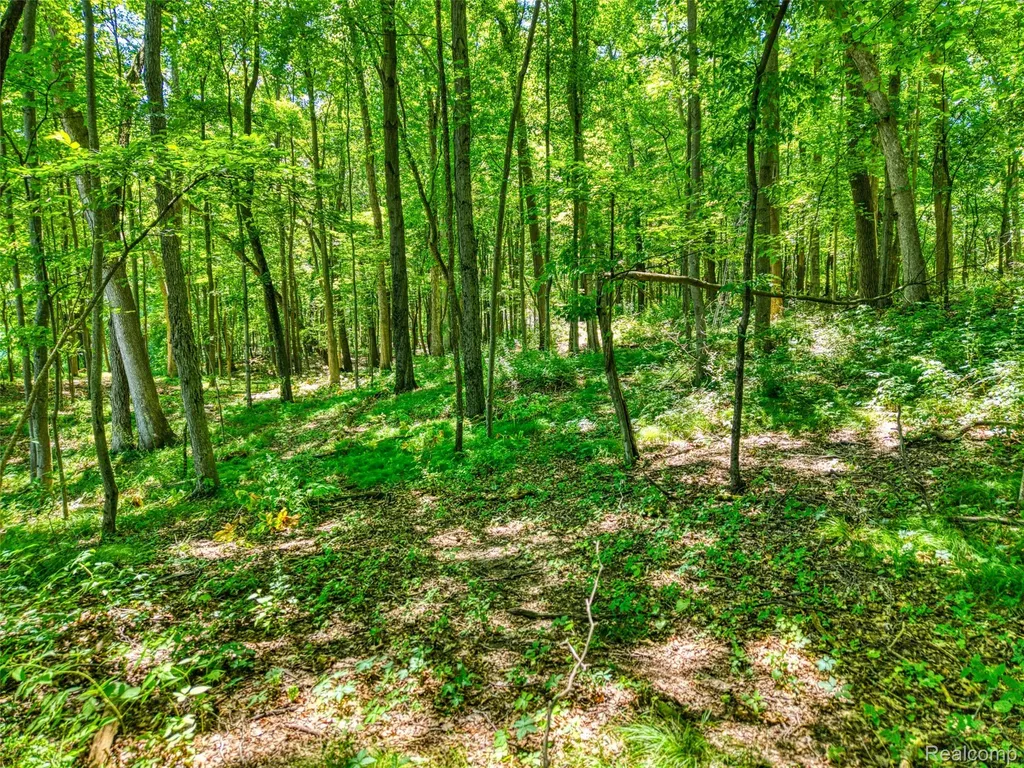 5663 Iosco Mountain Road Iosco Township MI 48137