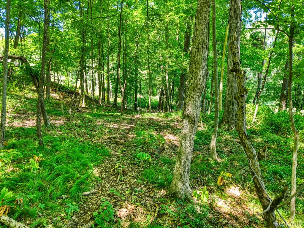 5663 Iosco Mountain Road Iosco Township MI 48137