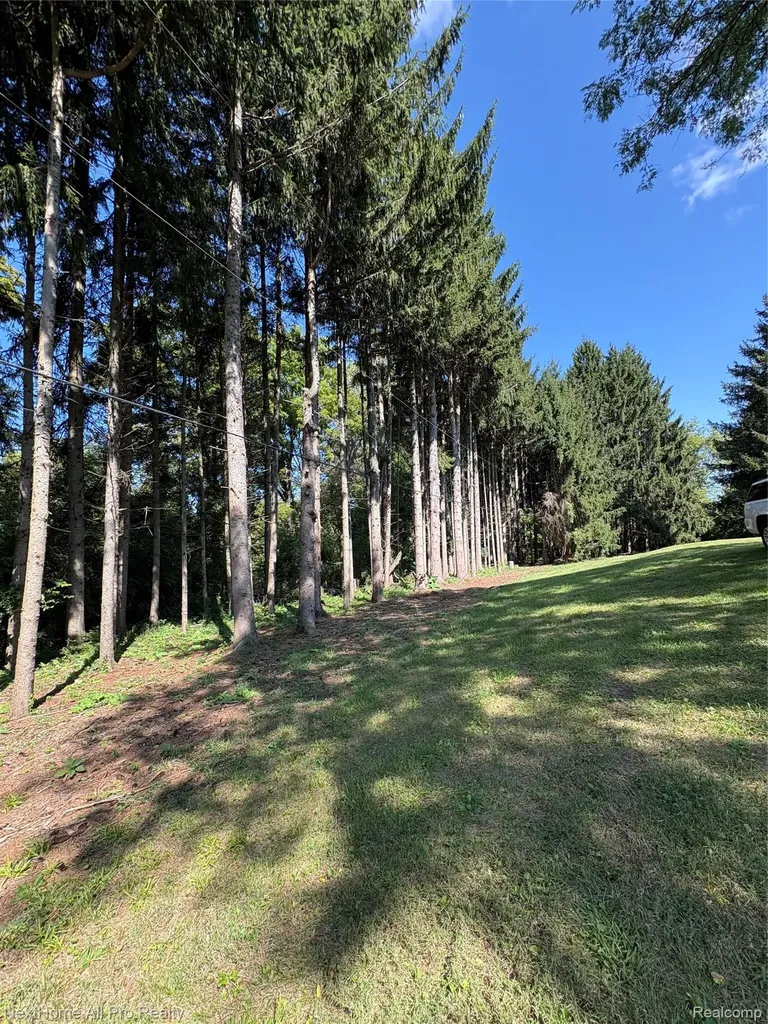 7195 Curtis Road Salem Township MI 48168