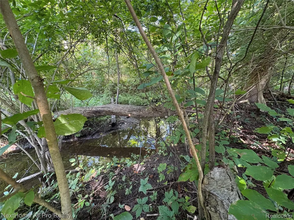 7195 Curtis Road Salem Township MI 48168