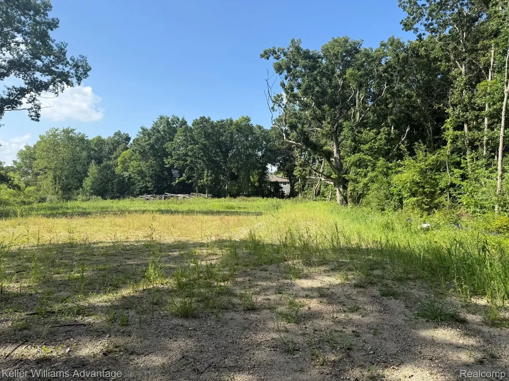 10493 Spring Grove Brighton City MI 48114
