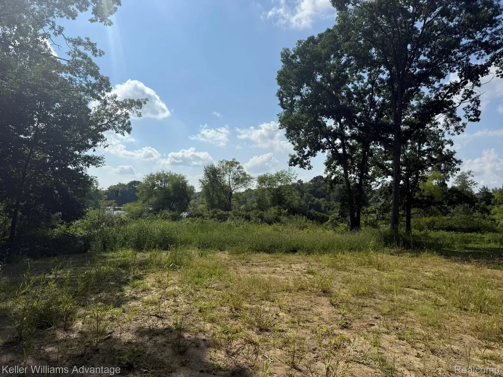 10493 Spring Grove Brighton City MI 48114