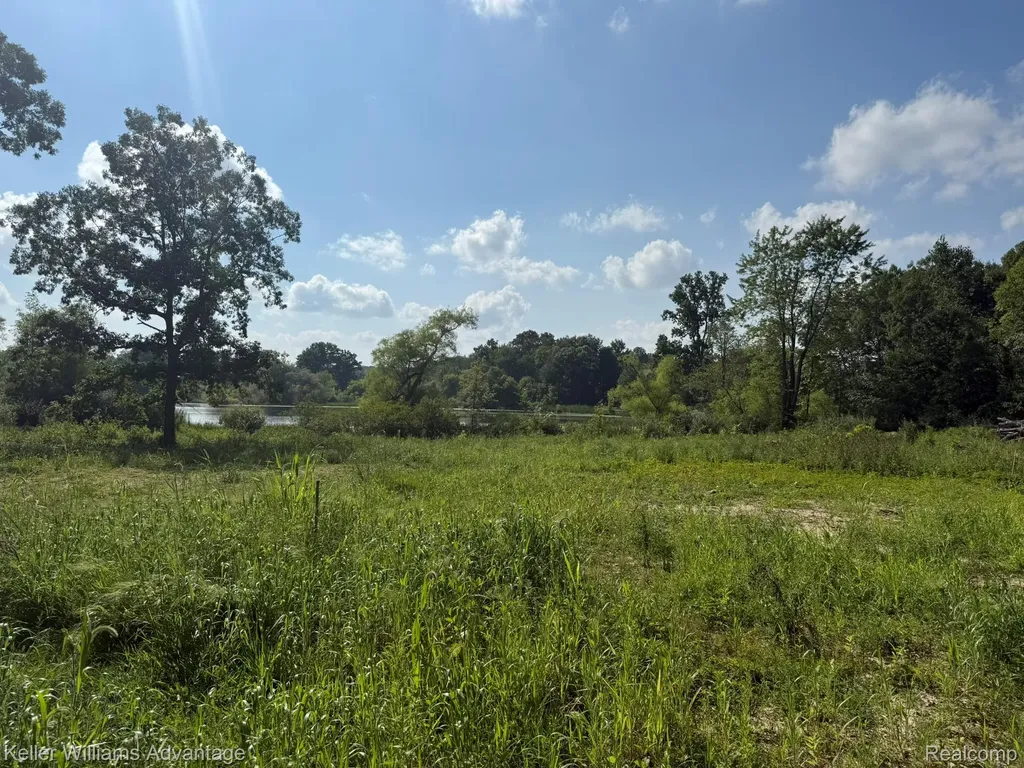 10493 Spring Grove Brighton City MI 48114