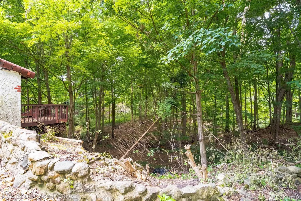 43550 Reservoir Street Northville Township MI 48170