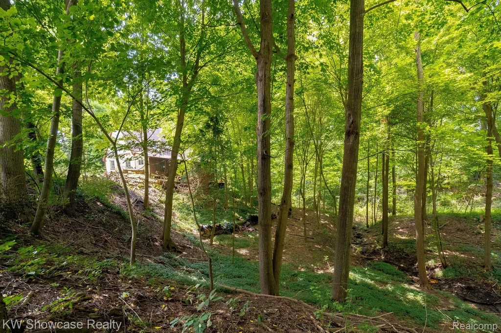 43550 Reservoir Street Northville Township MI 48170