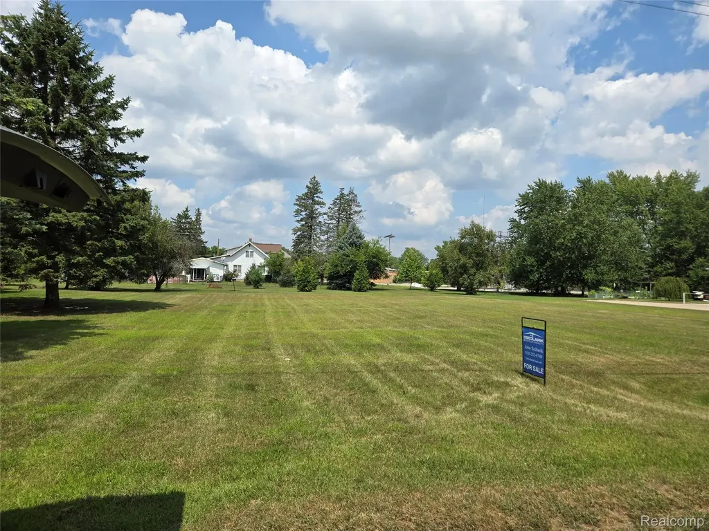 V/l W Liberty Street Chesaning Village MI 48616