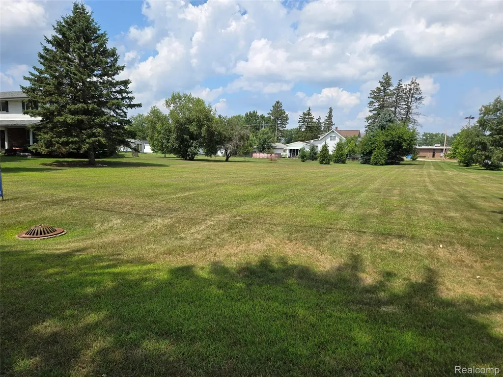 V/l W Liberty Street Chesaning Village MI 48616
