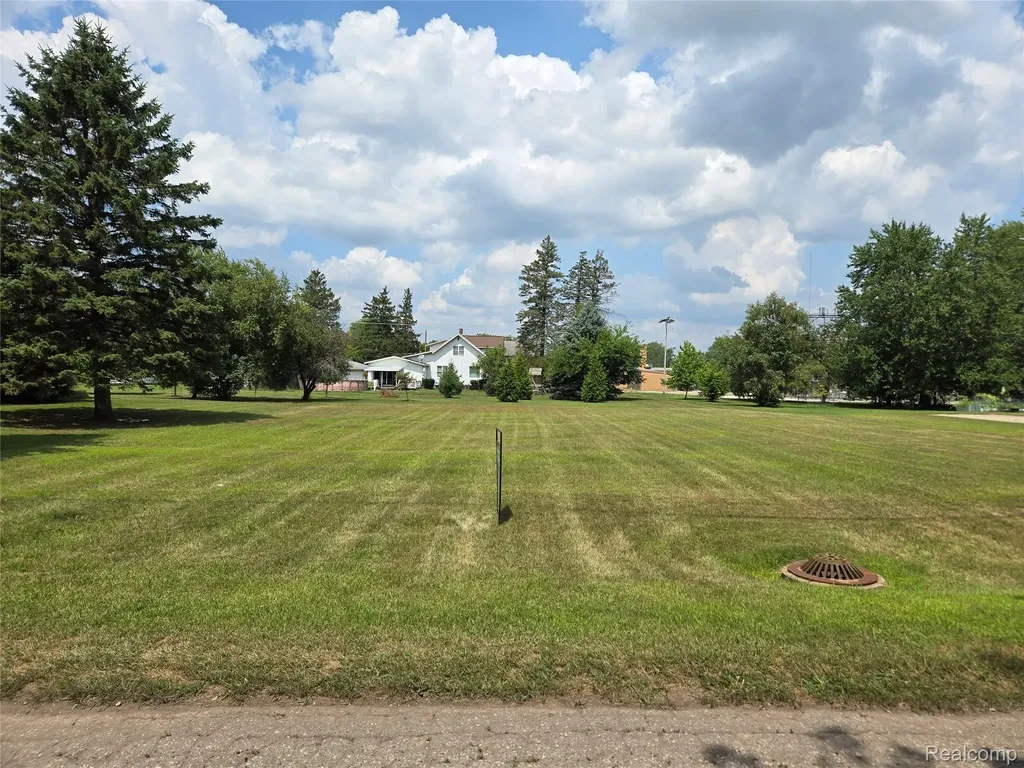 V/l W Liberty Street Chesaning Village MI 48616