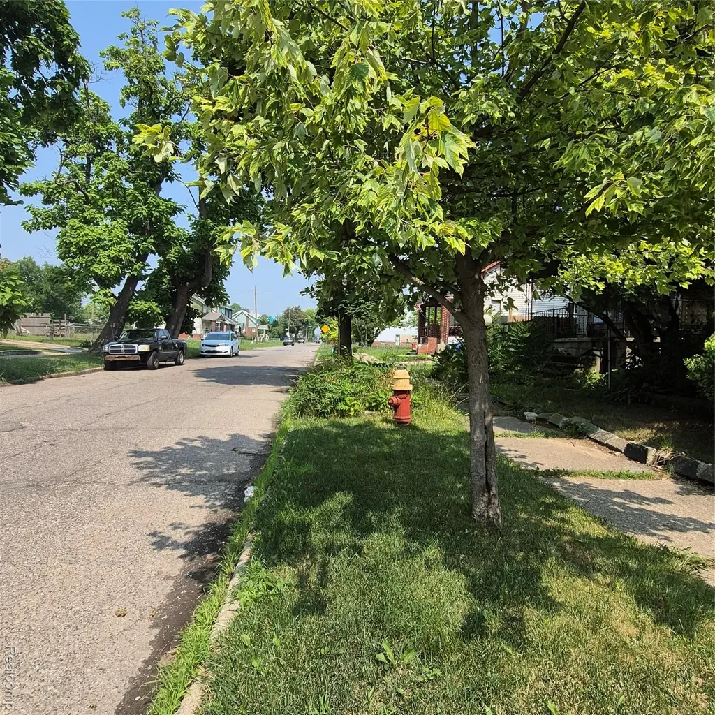 2981 W Euclid Street Detroit City MI 48206