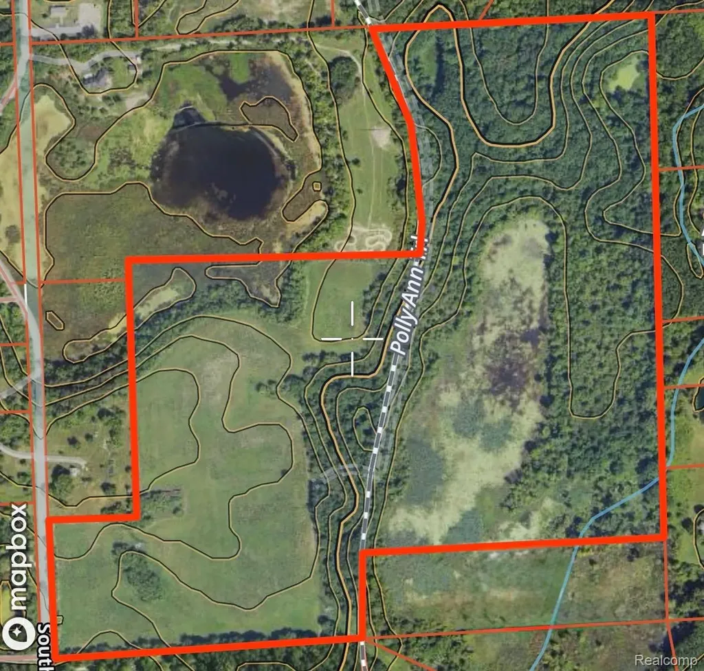 Vl S Mill Road Dryden Township MI 48428