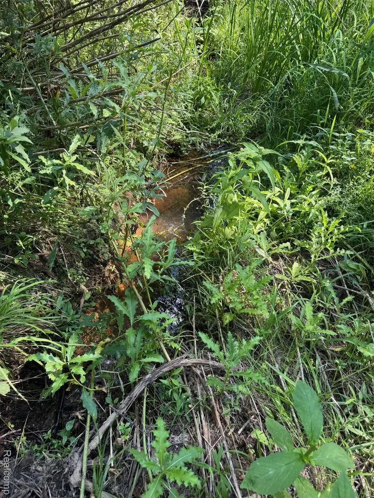 Vl S Mill Road Dryden Township MI 48428