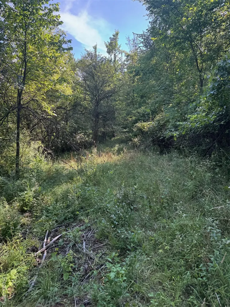 Vl S Mill Road Dryden Township MI 48428