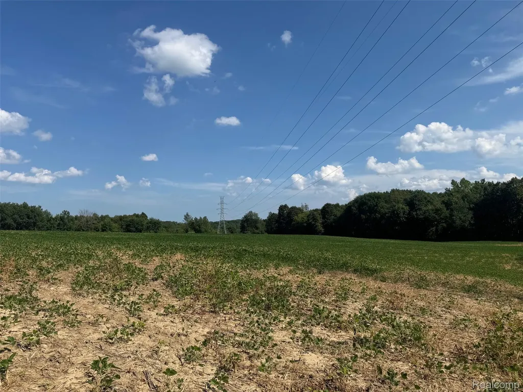 Vl S Mill Road Dryden Township MI 48428