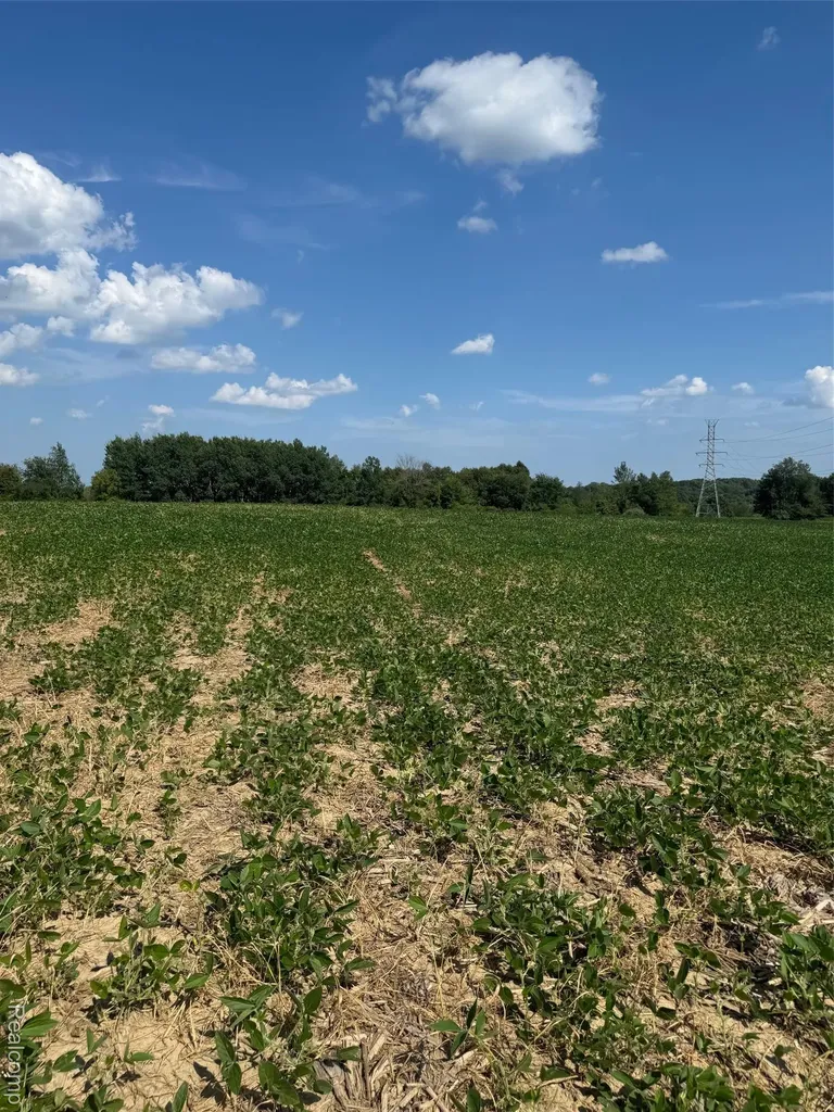 Vl S Mill Road Dryden Township MI 48428