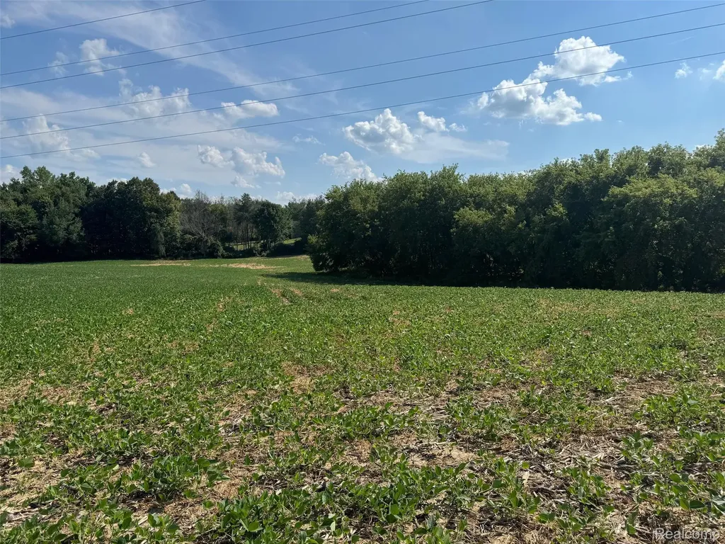 Vl S Mill Road Dryden Township MI 48428