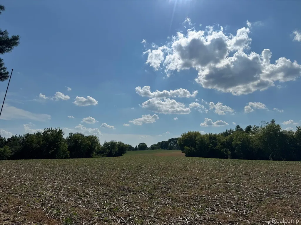 Vl S Mill Road Dryden Township MI 48428
