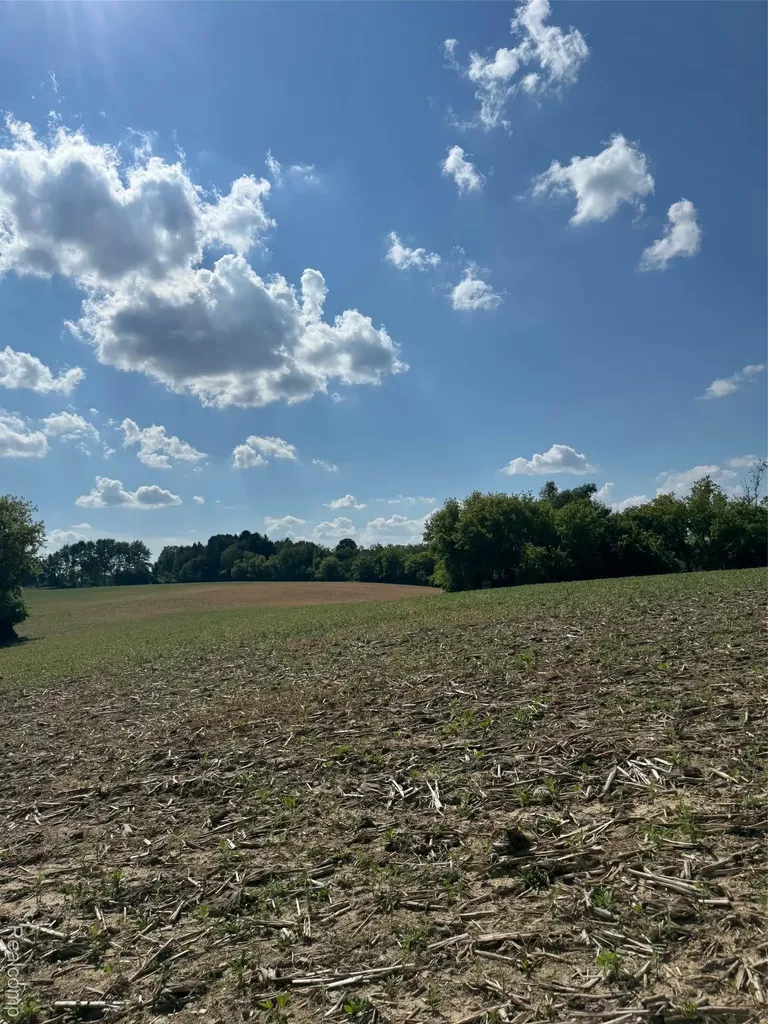 Vl S Mill Road Dryden Township MI 48428