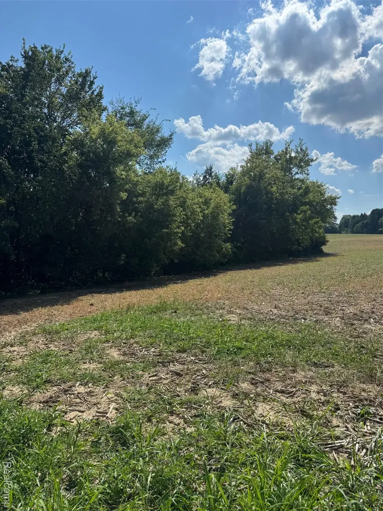 Vl S Mill Road Dryden Township MI 48428