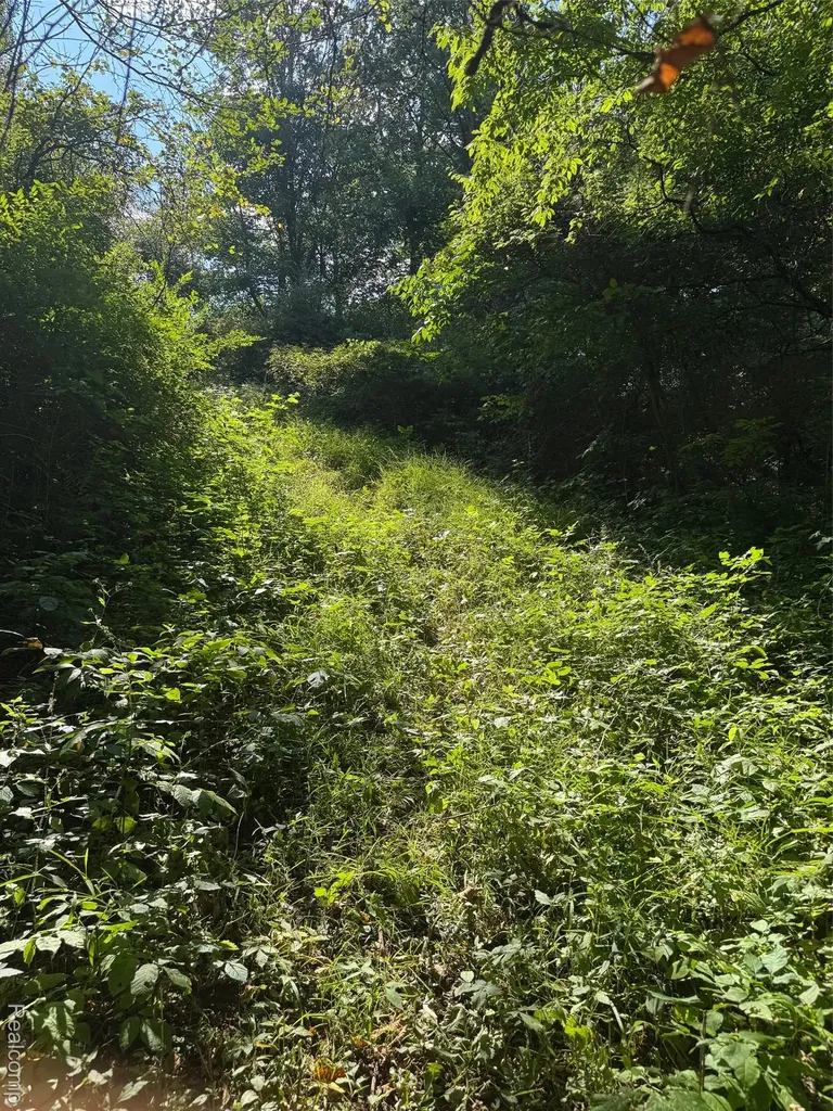 Vl S Mill Road Dryden Township MI 48428