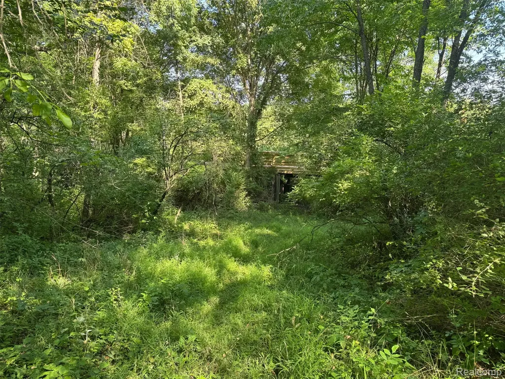 Vl S Mill Road Dryden Township MI 48428