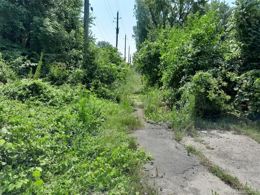 534 Bellevue Street Detroit City MI 48207